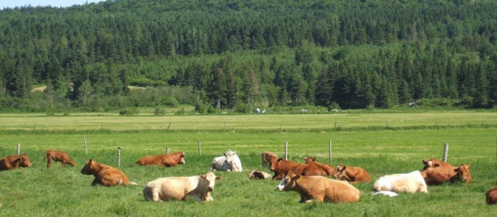 Ferme Janole | 525 8e Rang, Saint-Pierre-de-Broughton, QC G0N 1T0, Canada | Phone: (418) 424-0733