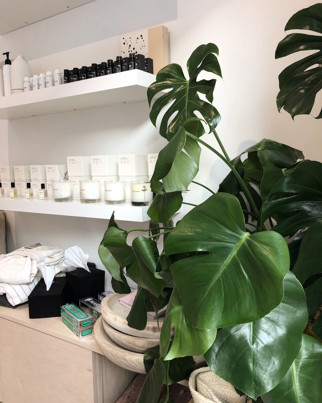 The Hive | 60 Pine St, Collingwood, ON L9Y 2N7, Canada | Phone: (705) 230-0488