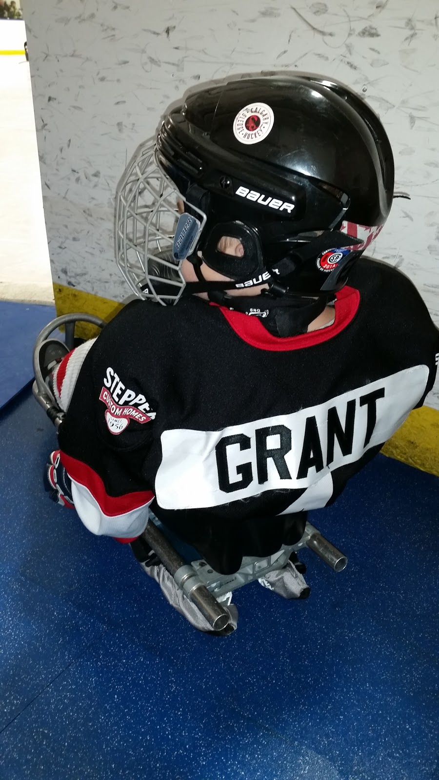 Stew Hendry / Henry Viney Arena | 814 13 Ave NE, Calgary, AB T2E 8A1, Canada | Phone: (403) 268-2489