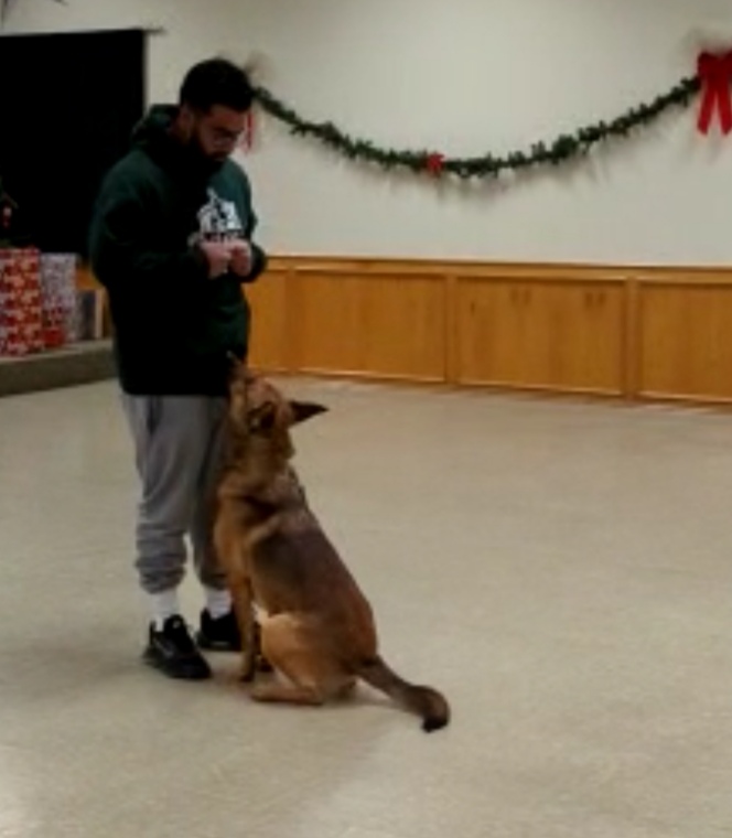 K9 Union Training Academy | 647 Crimson Crescent, Oshawa, ON L1J 8C9, Canada | Phone: (647) 889-4275