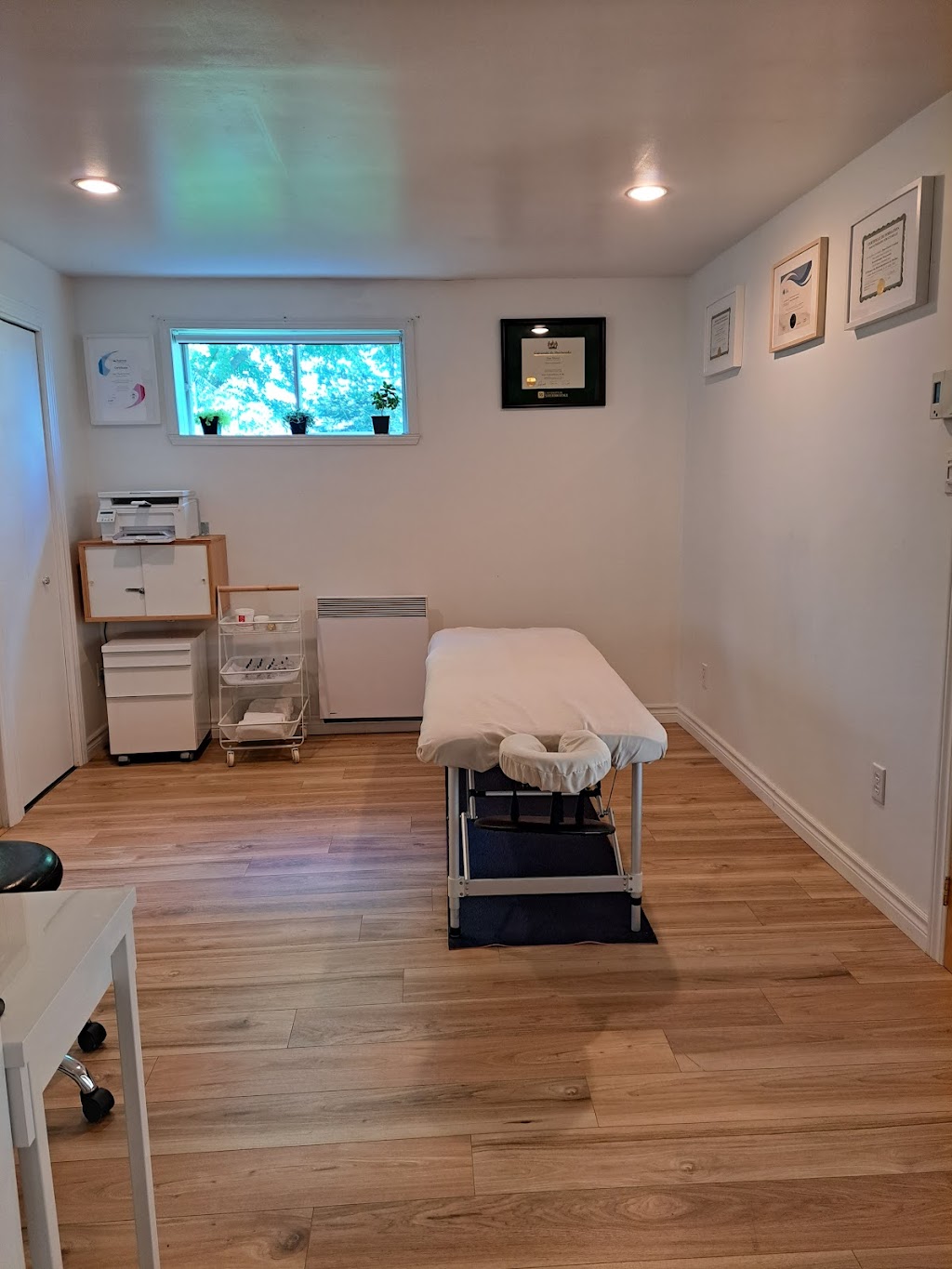 Physiothérapie Vanya Videnova | 880 Rue Charbonneau, Saint-Hyacinthe, QC J2T 4T5, Canada | Phone: (819) 919-2493