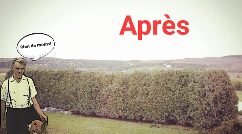 Pépinière Wilfrid Sylvain | 1021 3e Rang, Kinnears Mills, QC G0N 1K0, Canada | Phone: (418) 946-4553
