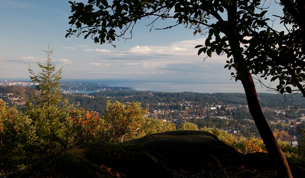 Dale Sheppard, RE/MAX Camosun | 791 Goldstream Ave, Victoria, BC V9B 2X5, Canada | Phone: (250) 478-9600