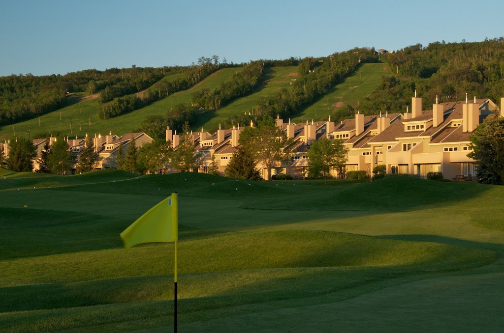 Wintergreen - Resort Homes by Blue Mountain Resort | 107 Wintergreen Pl, The Blue Mountains, ON L9Y 0P8, Canada | Phone: (833) 583-2583