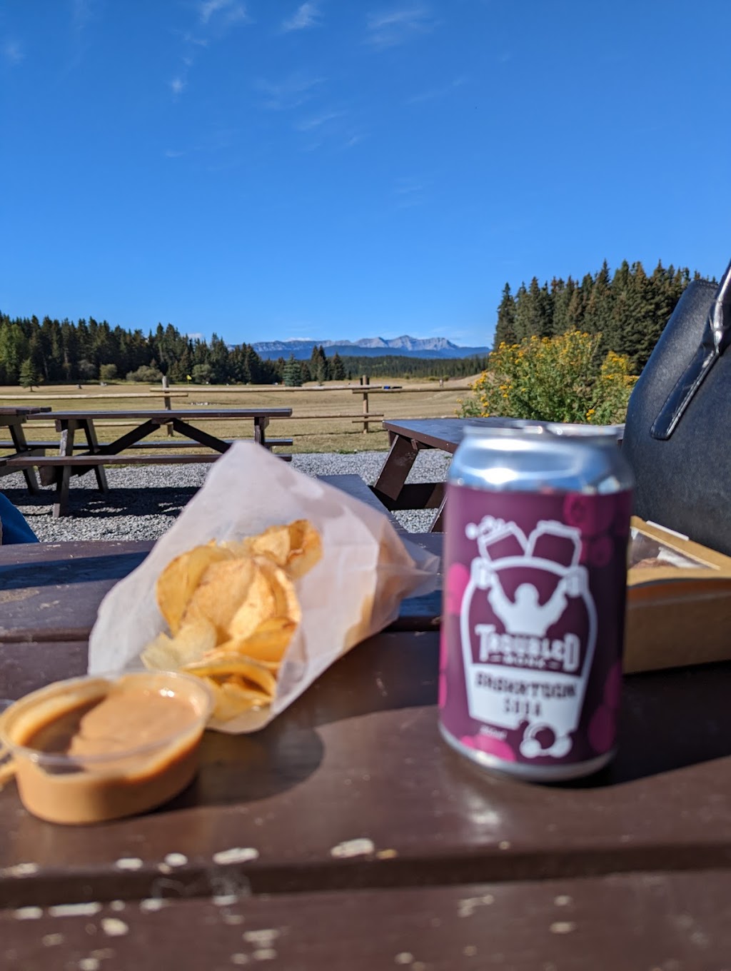 Nordegg Adventures | 4 Stuart St, Nordegg, AB T0M 2H0, Canada | Phone: (877) 907-6071