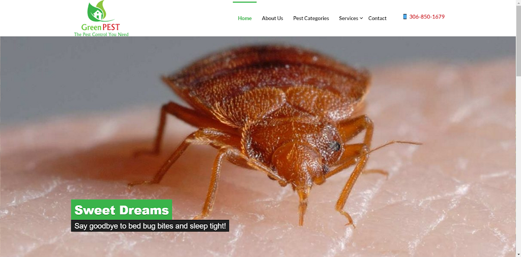 GreenPEST | 4623 Curtiss Ave, Regina, SK S4W 0A3, Canada | Phone: (306) 850-1679