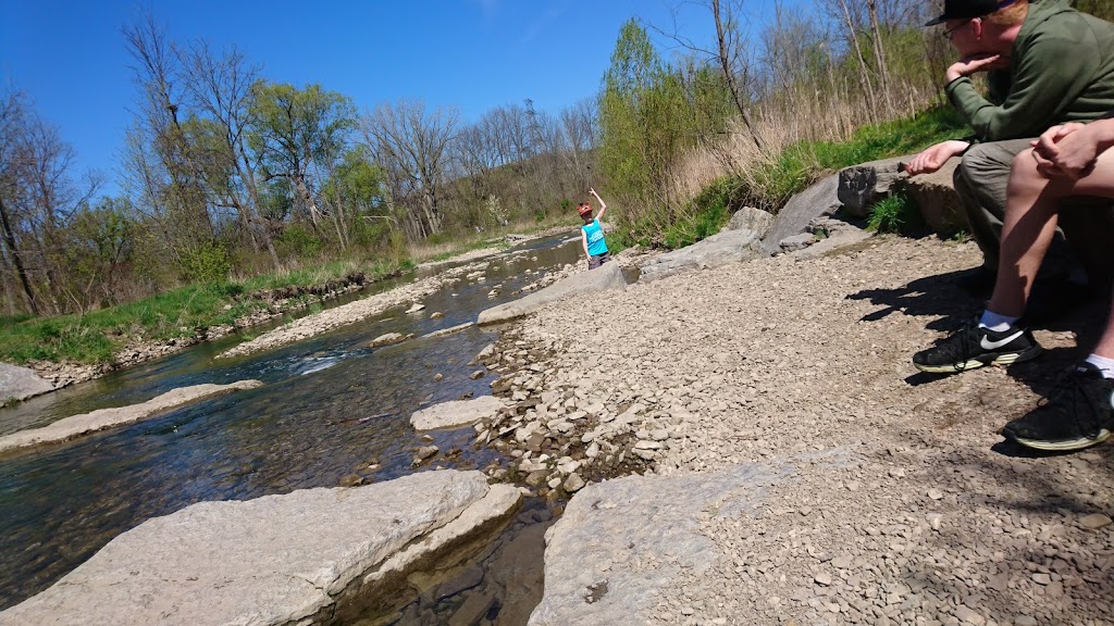 Red Hill Creek Behind Rosedale Arena | Unnamed Road, Hamilton, ON L8K, Canada
