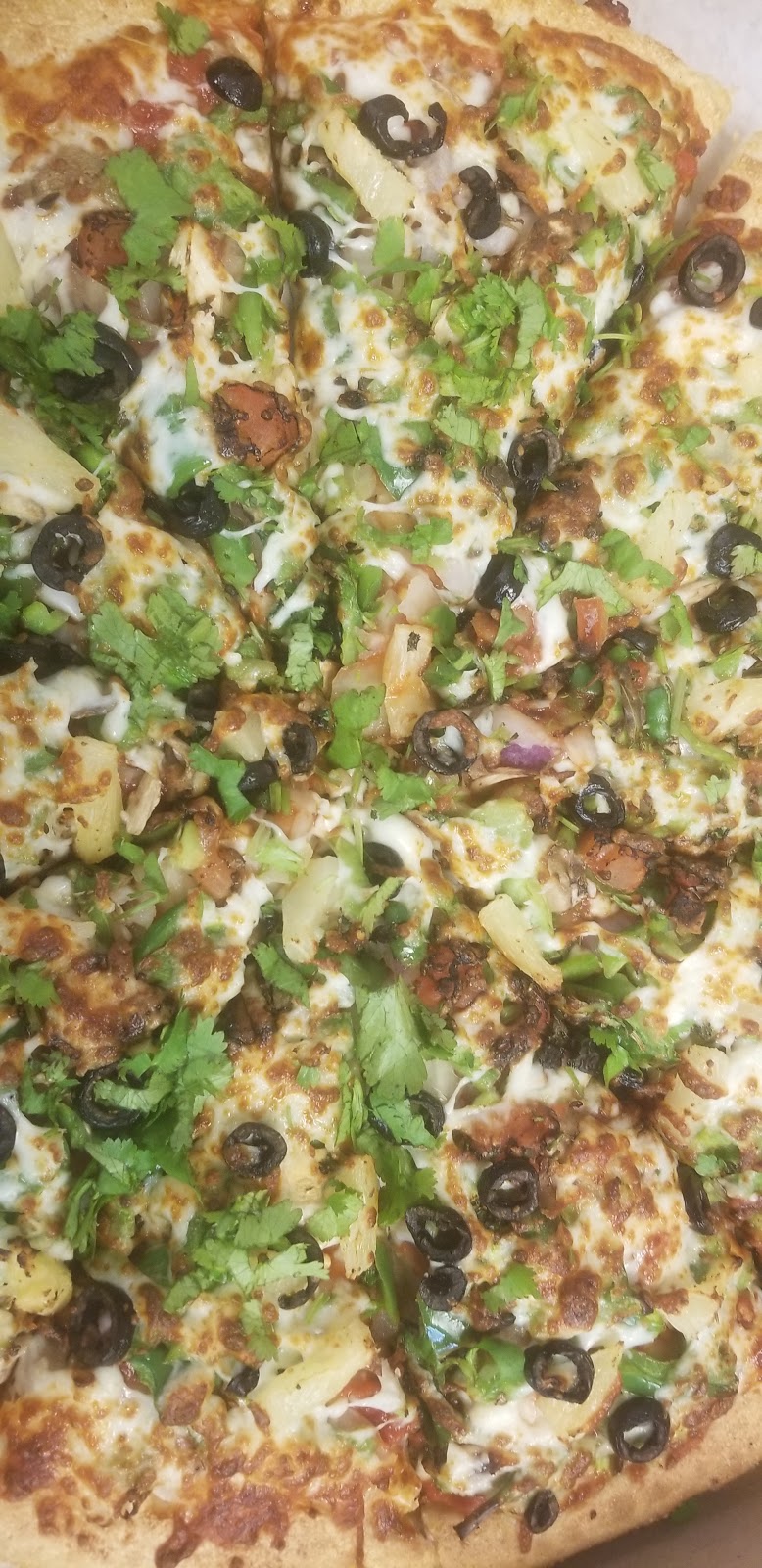 Délice Pizza & Pasta | 8354 112 St, Delta, BC V4C 4W7, Canada | Phone: (604) 596-4533