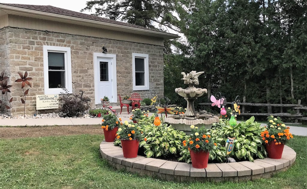 Ahimsa Naturopathic | 223 Main St W, Merrickville, ON K0G 1N0, Canada | Phone: (613) 269-4472