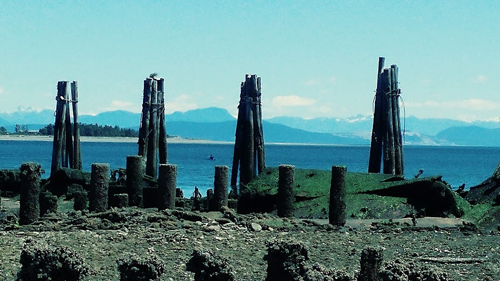 Royston Shipwrecks | Hilton Rd, Royston, BC V9N 9T4, Canada | Phone: (250) 338-3937