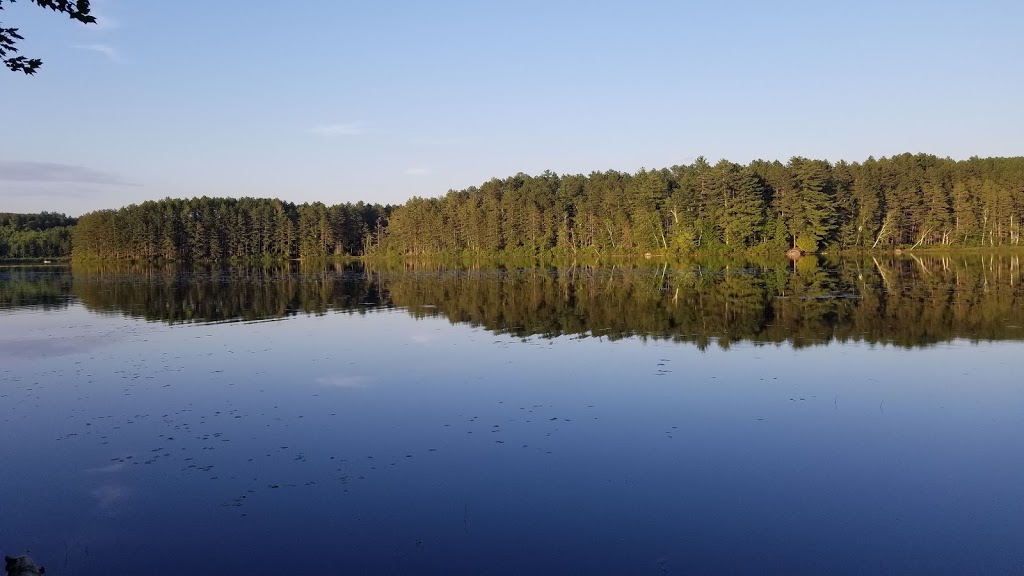 Brighton State Park | 102 State Park Rd, Island Pond, VT 05846, USA | Phone: (802) 723-4360