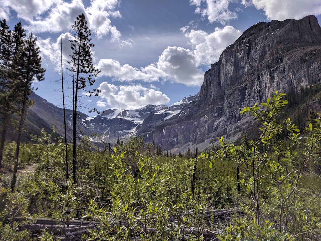 Stanley Glacier Trailhead | Kootenay Hwy, East Kootenay G, BC V0A 1E0, Canada | Phone: (250) 347-9505