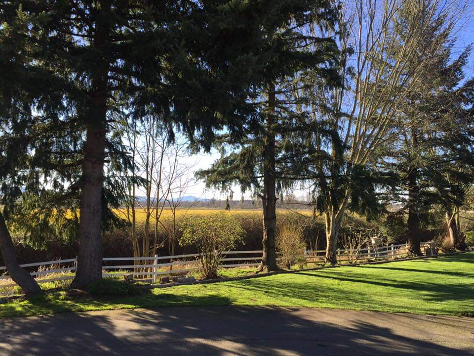 Windmill Inn Lynden | 8022 WA-539, Lynden, WA 98264, USA | Phone: (360) 354-3424