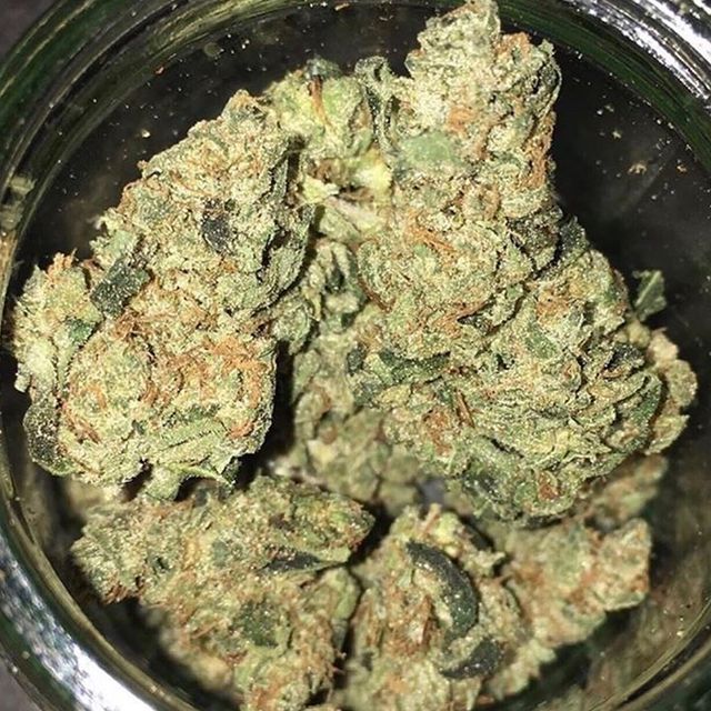 Milton Dispensary Online | 29 Armstrong Ave, Georgetown, ON L7G 4S1, Canada | Phone: (365) 800-6308