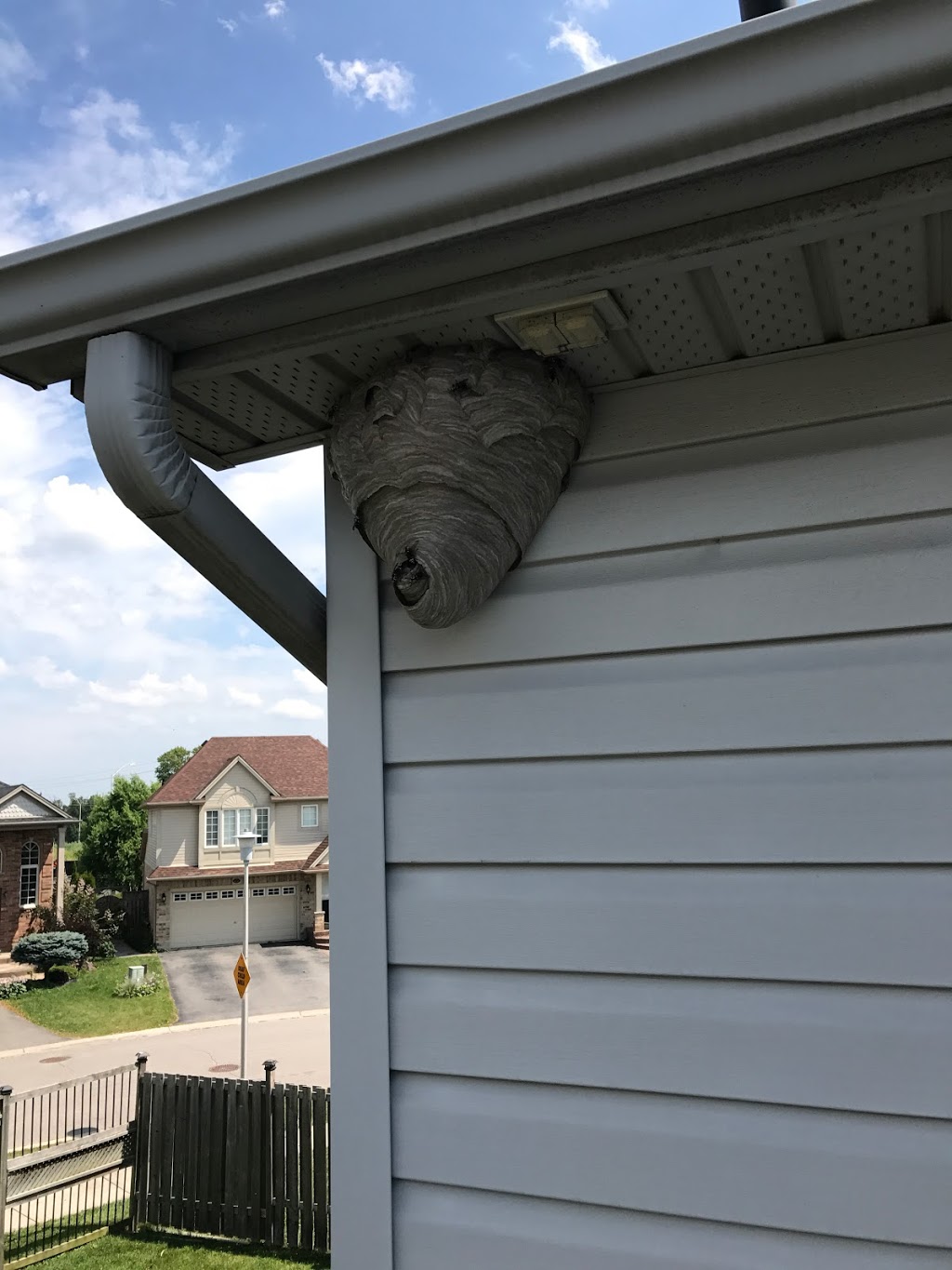 Canadian Pest Solutions | 40 Azar Ave, Tilbury, ON N0P 2L0, Canada | Phone: (866) 256-8693