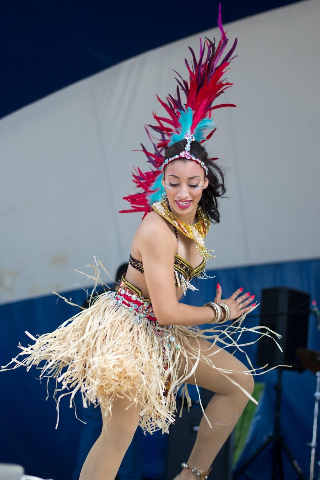 9th Annual Afro Carib Fest | Thompson Park, 1005 Brimley Rd, Scarborough, ON M1P 3E9, Canada | Phone: (416) 345-1613