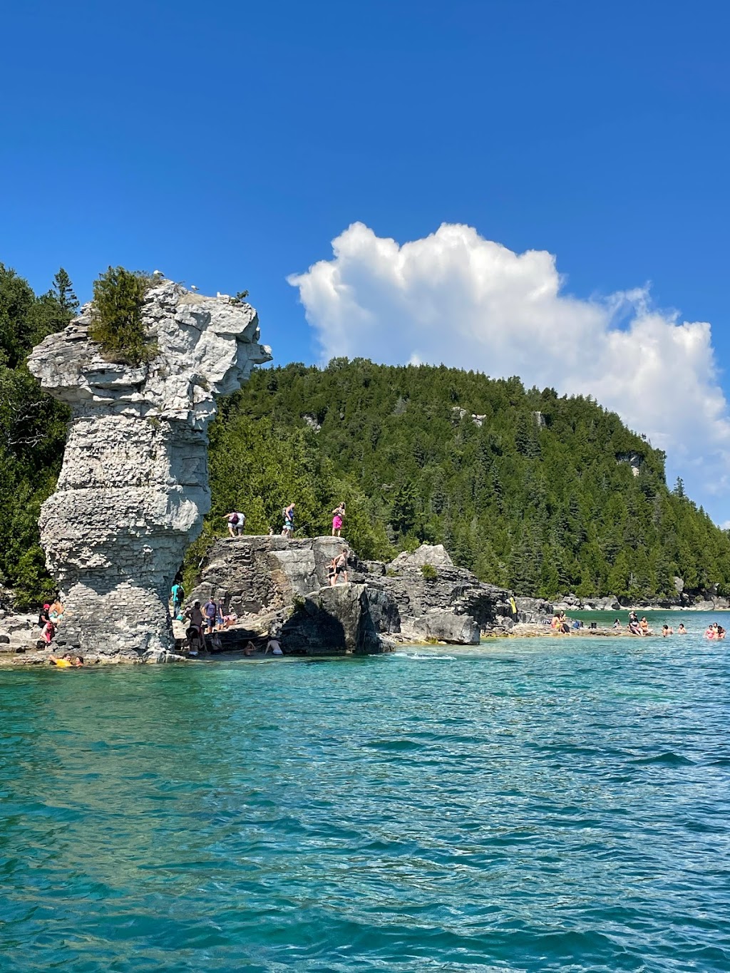 On the Cliff Bed & Breakfast | 136 McKague Rd, Lions Head, ON N0H 1W0, Canada | Phone: (416) 209-1061