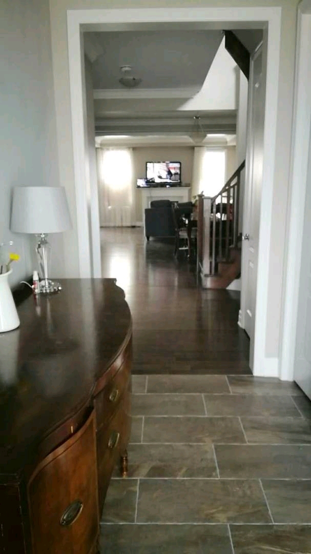 Aurora Cat Hotel | 79 Crockart Ln, Aurora, ON L4G 0Y6, Canada | Phone: (416) 903-5688