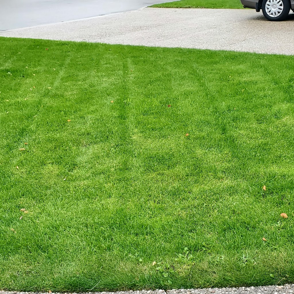 Speedylandscaping | 3487 Upper James St, Mount Hope, ON L0R 1W0, Canada | Phone: (289) 301-4767