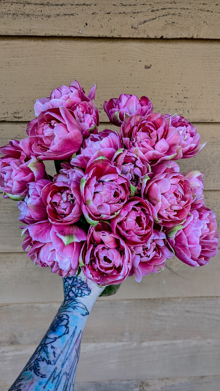 Flower Beds Farm | 707 Spider Lake Rd, Qualicum Beach, BC V9K 2L7, Canada | Phone: (250) 619-4414