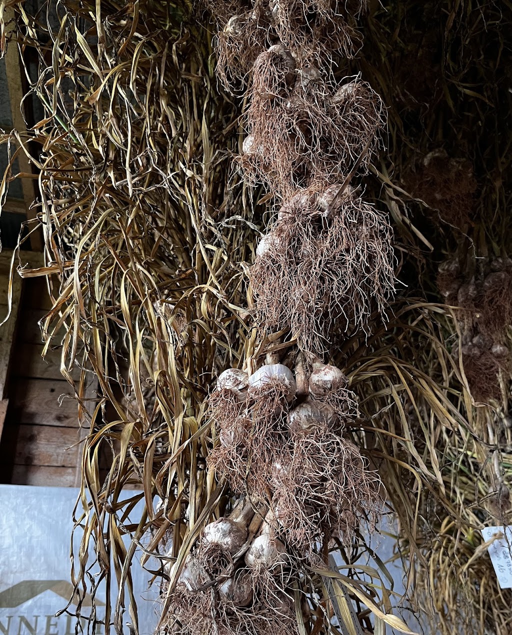 UpBack Farms | 2779 PE-19, Rocky Point, PE C0A 1H2, Canada | Phone: (613) 697-8666