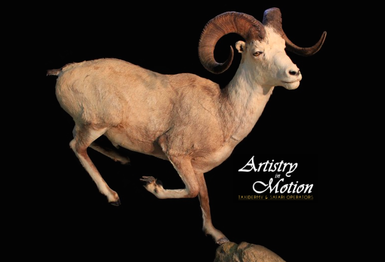 Artistry In Motion Taxidermy- Canadas Largest Taxidermy Studio | 347 Durham Regional Rd 8, Uxbridge, ON L9P 1R1, Canada | Phone: (905) 852-1119