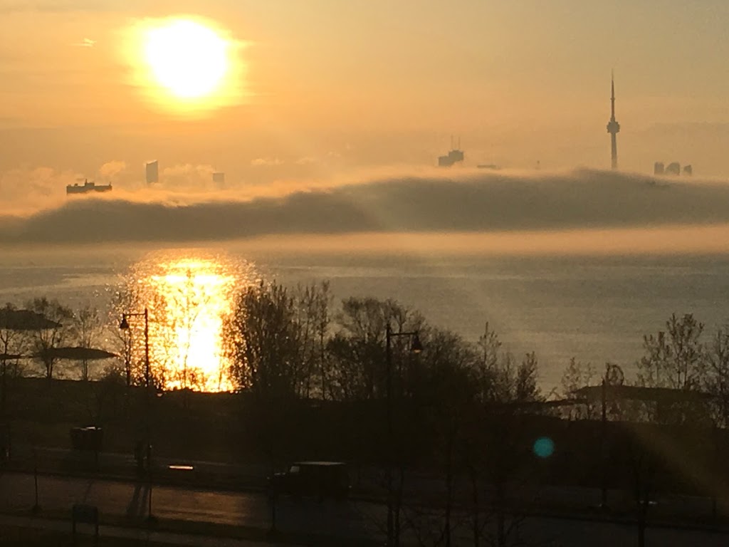 Bonny Greene | 2121 Lake Shore Blvd W, Etobicoke, ON M8V 4E9, Canada | Phone: (416) 302-8231