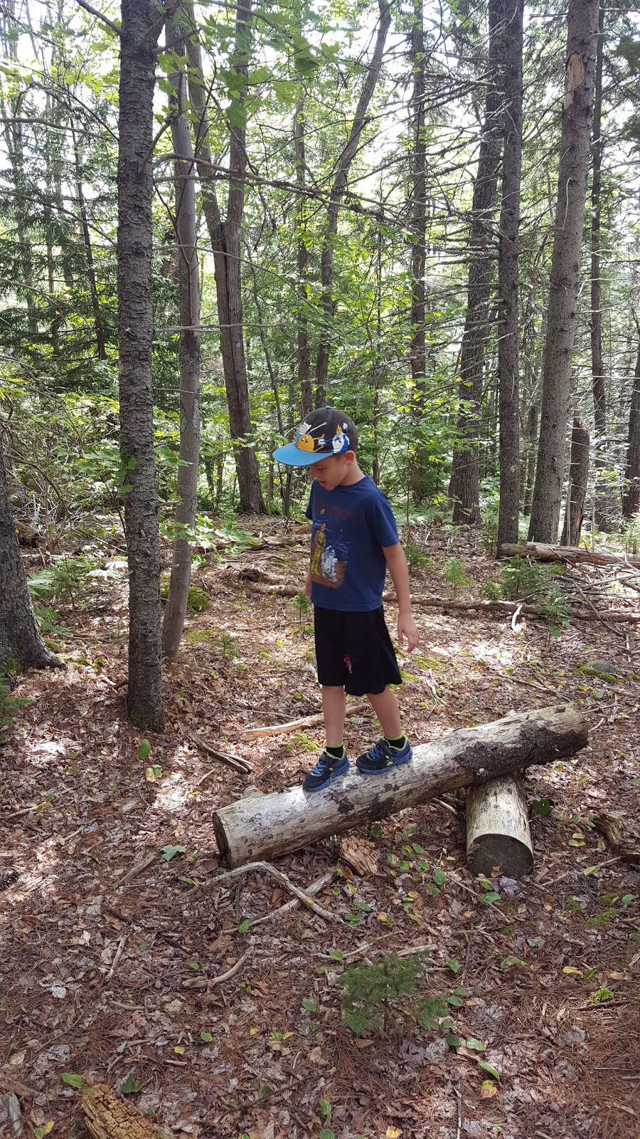 Sandy Lake Park | Bedford, NS B4B 1B6, Canada | Phone: (902) 490-4000