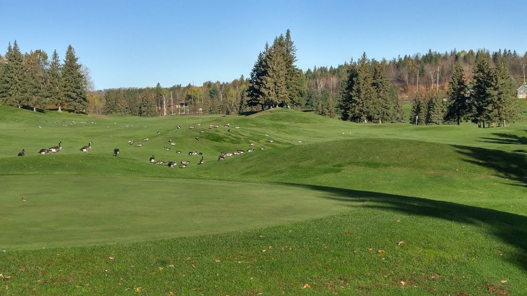 Grandview Resort | 939 ON-60, Huntsville, ON P1H 1Z4, Canada | Phone: (877) 368-2583