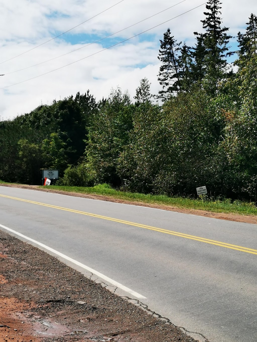Triple Creek Farm | 4634 PE-225, Breadalbane, PE C0A 1E0, Canada | Phone: (902) 316-0228
