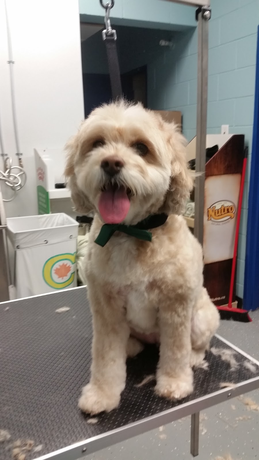 Best West Pet Foods Inc | 1625 Henderson Hwy, Winnipeg, MB R2G 1N8, Canada | Phone: (204) 338-8358