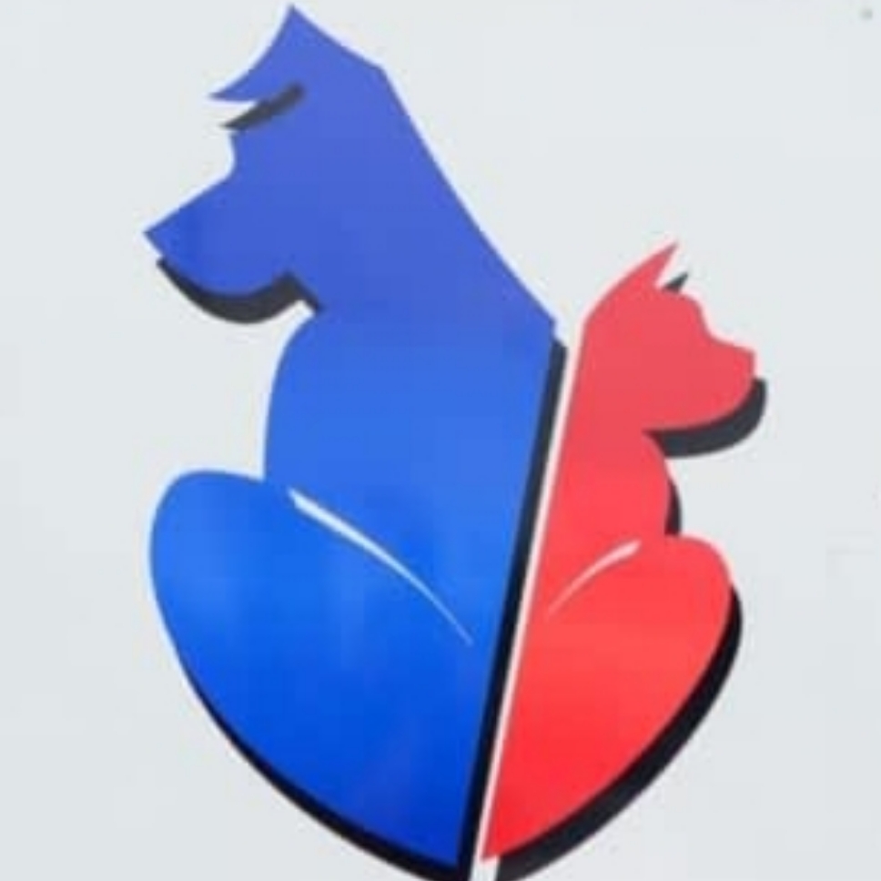 Pitt Meadows Animal Clinic | 19227 Lougheed Hwy, Pitt Meadows, BC V3Y 2J5, Canada | Phone: (604) 465-6344