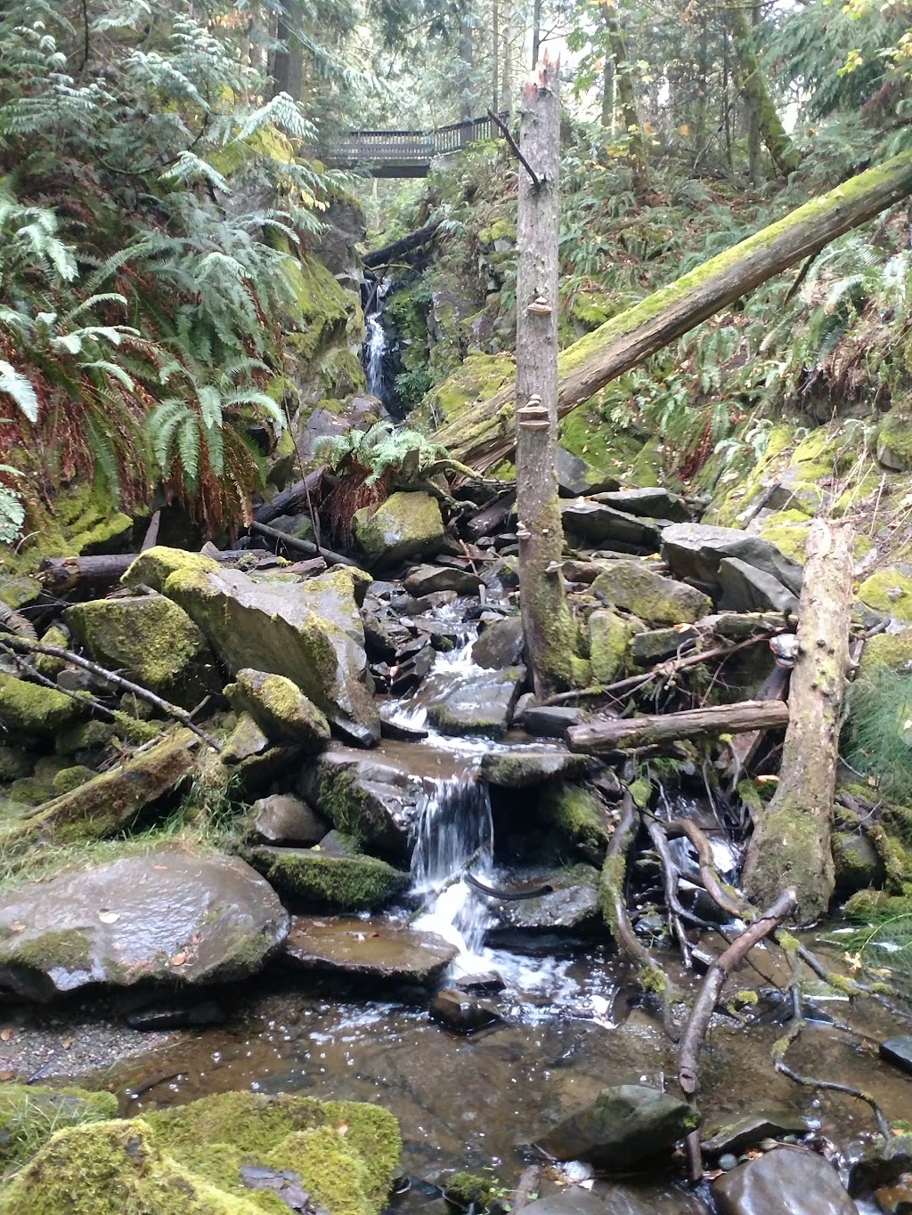 Manley Creek Park | Ratcliffe Rd, Cobble Hill, BC V0R 1L4, Canada