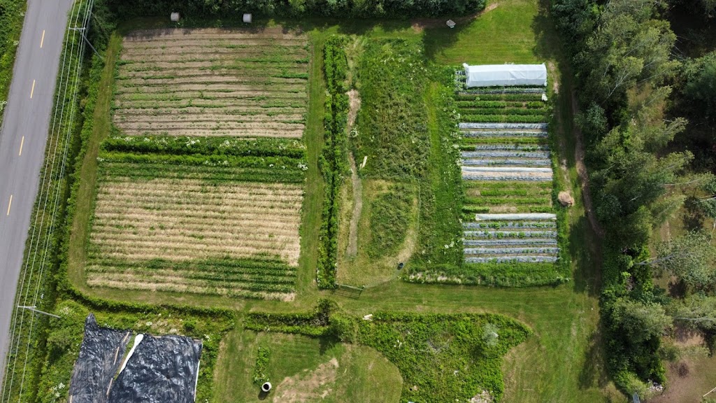 Ferme Maraîchère Deschênes SENC | 150 3e Rang, Val-Alain, QC G0S 3H0, Canada | Phone: (418) 394-4413