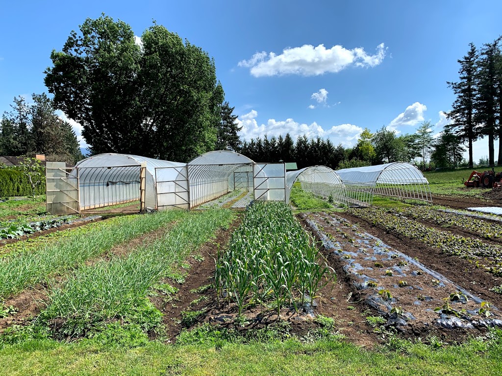 늘푸른농원 Evergreen Farm | 641 McCallum Rd, Abbotsford, BC V2S 8A1, Canada | Phone: (778) 808-0801