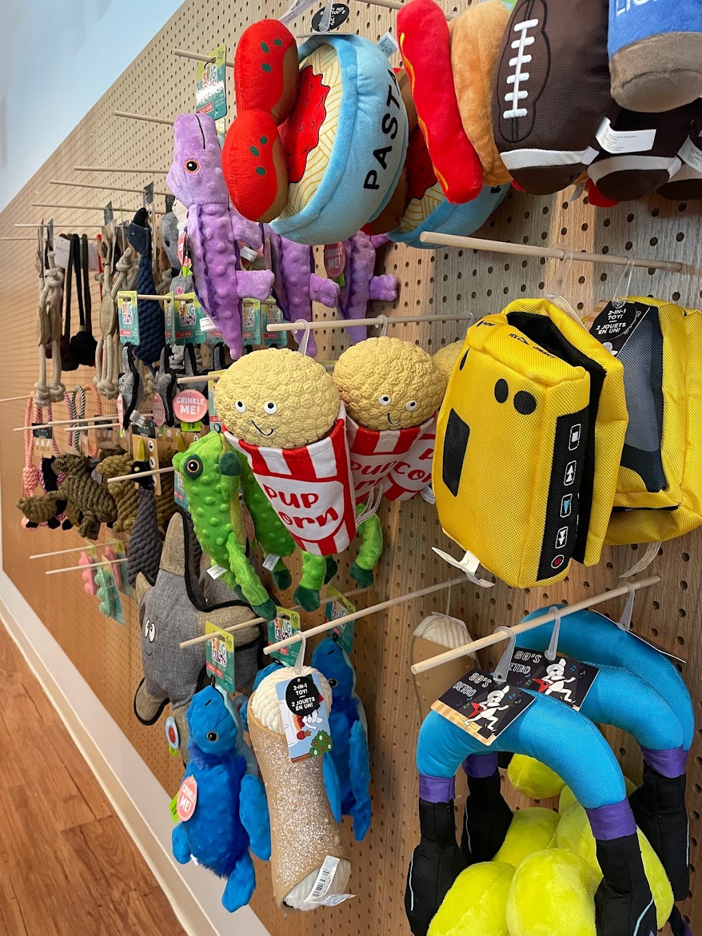 East Coast Dog | 3180 Isleville St, Halifax, NS B3K 3Y3, Canada | Phone: (902) 200-8332
