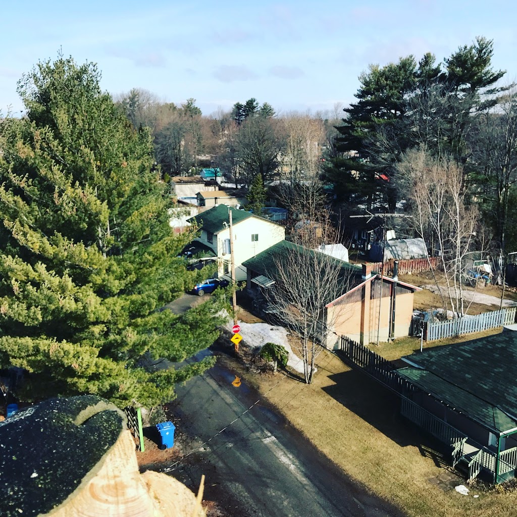 Services D’arbre Expert | 101 Terr. Miron, Lavaltrie, QC J5T 1B7, Canada | Phone: (514) 829-1890