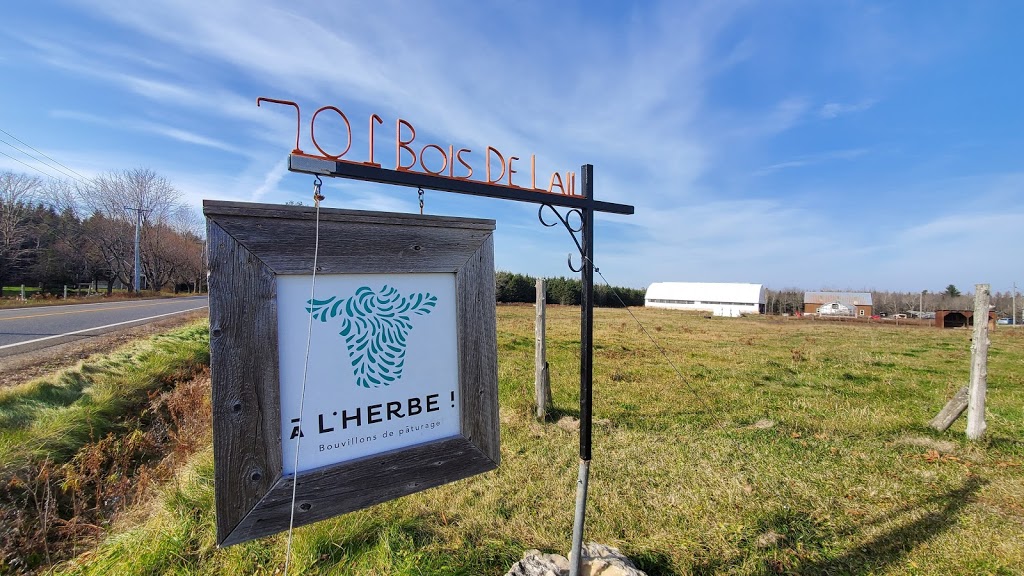 À lHERBE! bouvillons de pâturage | 701 Chemin du Bois de lAil, Pont-Rouge, QC G3H 2G8, Canada | Phone: (418) 285-7784