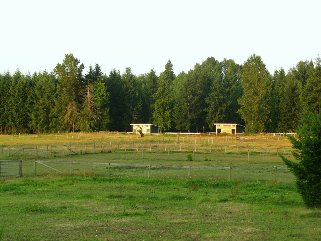 Influx Fuels, Cassidy | 3225 Trans-Canada Hwy, Cassidy, BC V0R 1H0, Canada | Phone: (250) 245-2911