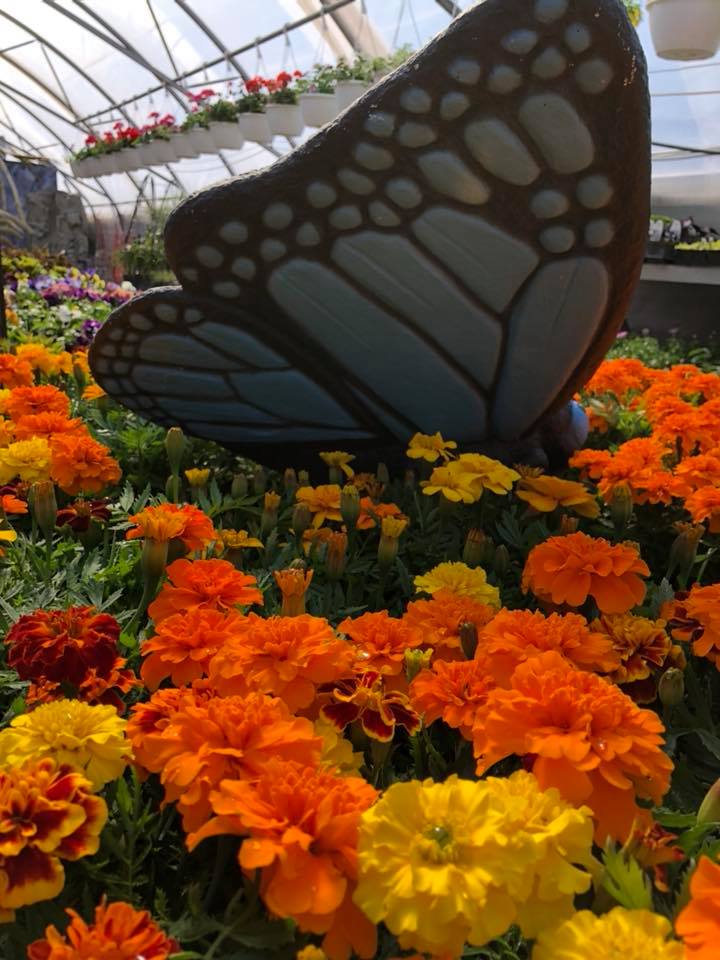 Levis Fine Home & Garden Decor | 4602 Rue Principale, Saint-Antoine, NB E4V 3H3, Canada | Phone: (506) 525-2505