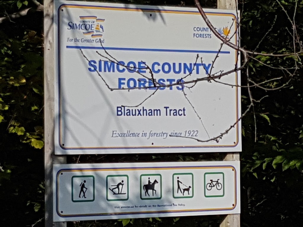 Simcoe County Forest Blauxham Trail | 8190-8192 Veterans Dr, Barrie, ON L4N 9J1, Canada