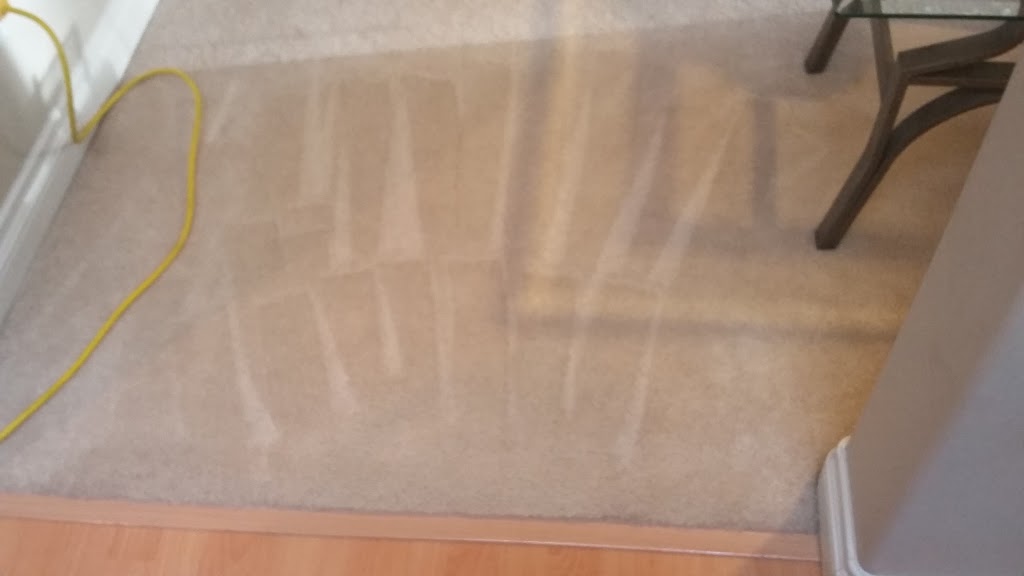 Fibre Tech Carpet Care Ltd. | 527 Constance Ave #101, Victoria, BC V9A 6N5, Canada | Phone: (778) 433-9348