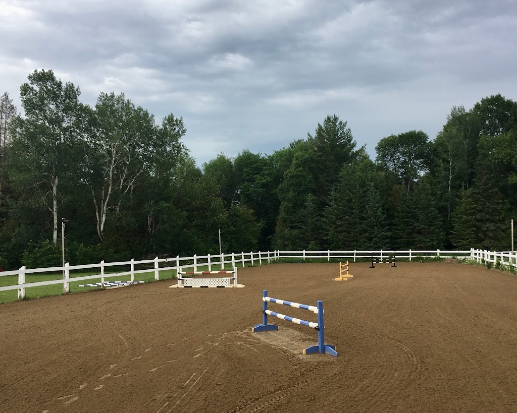 Silver Tree Stables | 121 Forest Park Rd, Pembroke, ON K8A 6W2, Canada | Phone: (613) 638-3155