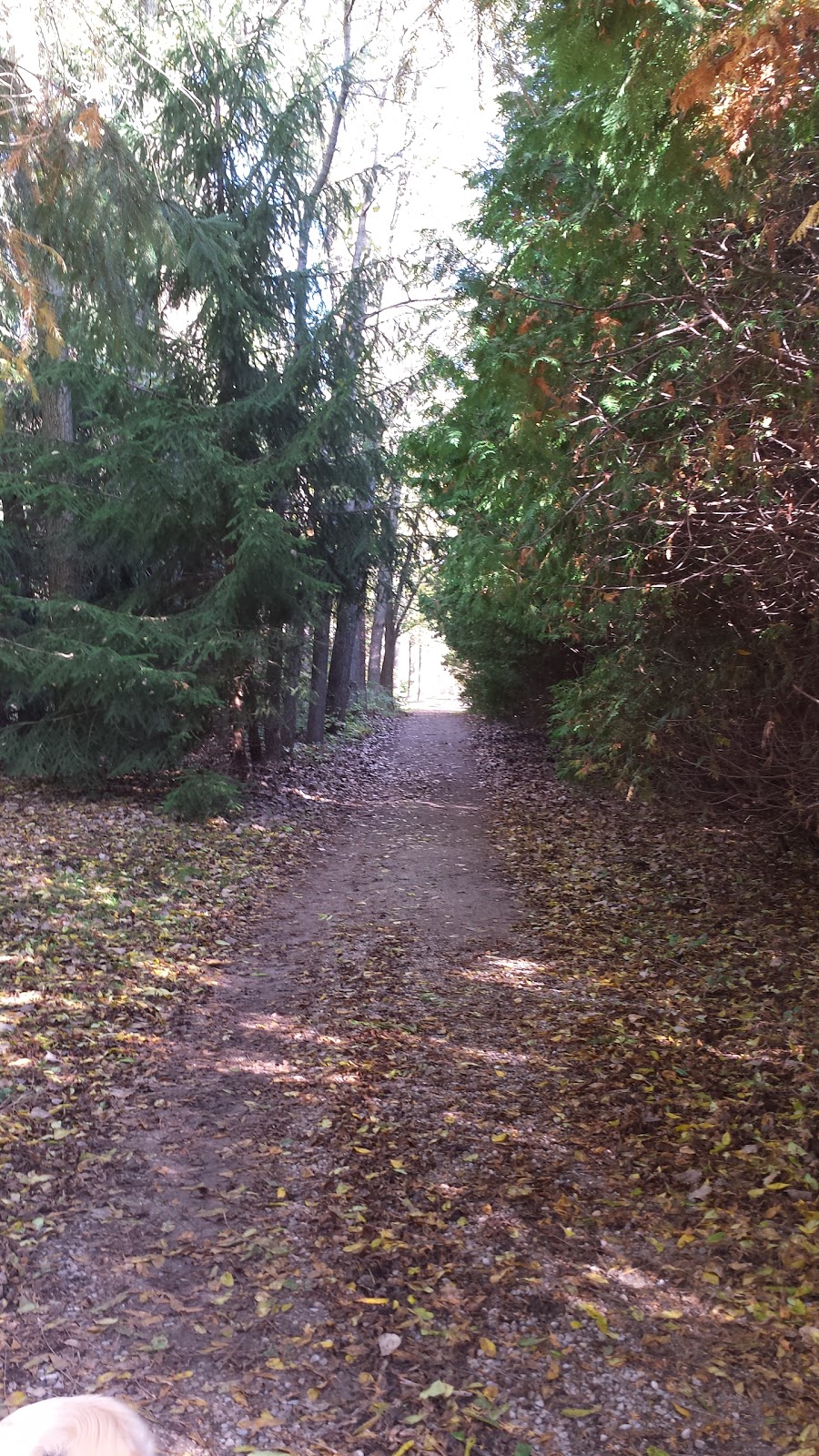 Warwick Conservation Area | 6101 Warwick Village Rd, Watford, ON N0M 2S0, Canada | Phone: (519) 849-6770