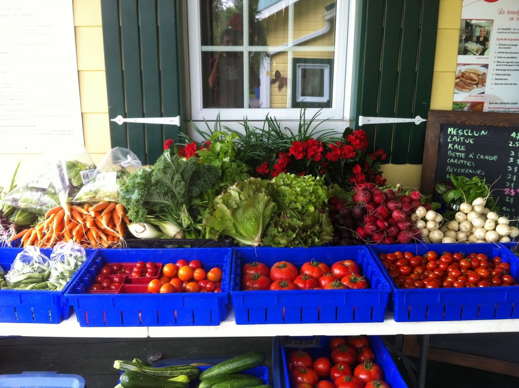 La Shop à Légumes.coop | 221 Rang Montcalm, Saint-Esprit, QC J0K 2L0, Canada | Phone: (438) 877-9047