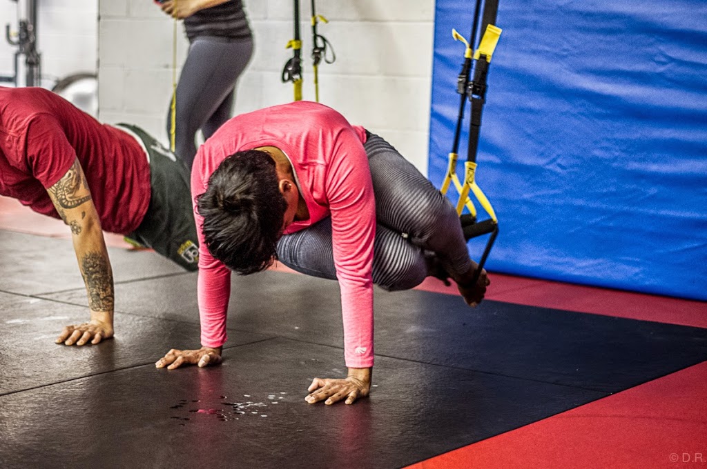 Elite Training Centre martial arts and fitness | 1557 Sedlescomb Dr, Mississauga, ON L4X 1M4, Canada | Phone: (416) 910-6175