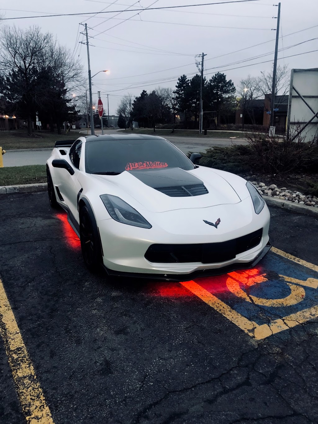 Art In Motion Auto Care LTD | 11 Steinway Blvd #1, Etobicoke, ON M9W 6S9, Canada | Phone: (647) 990-2461