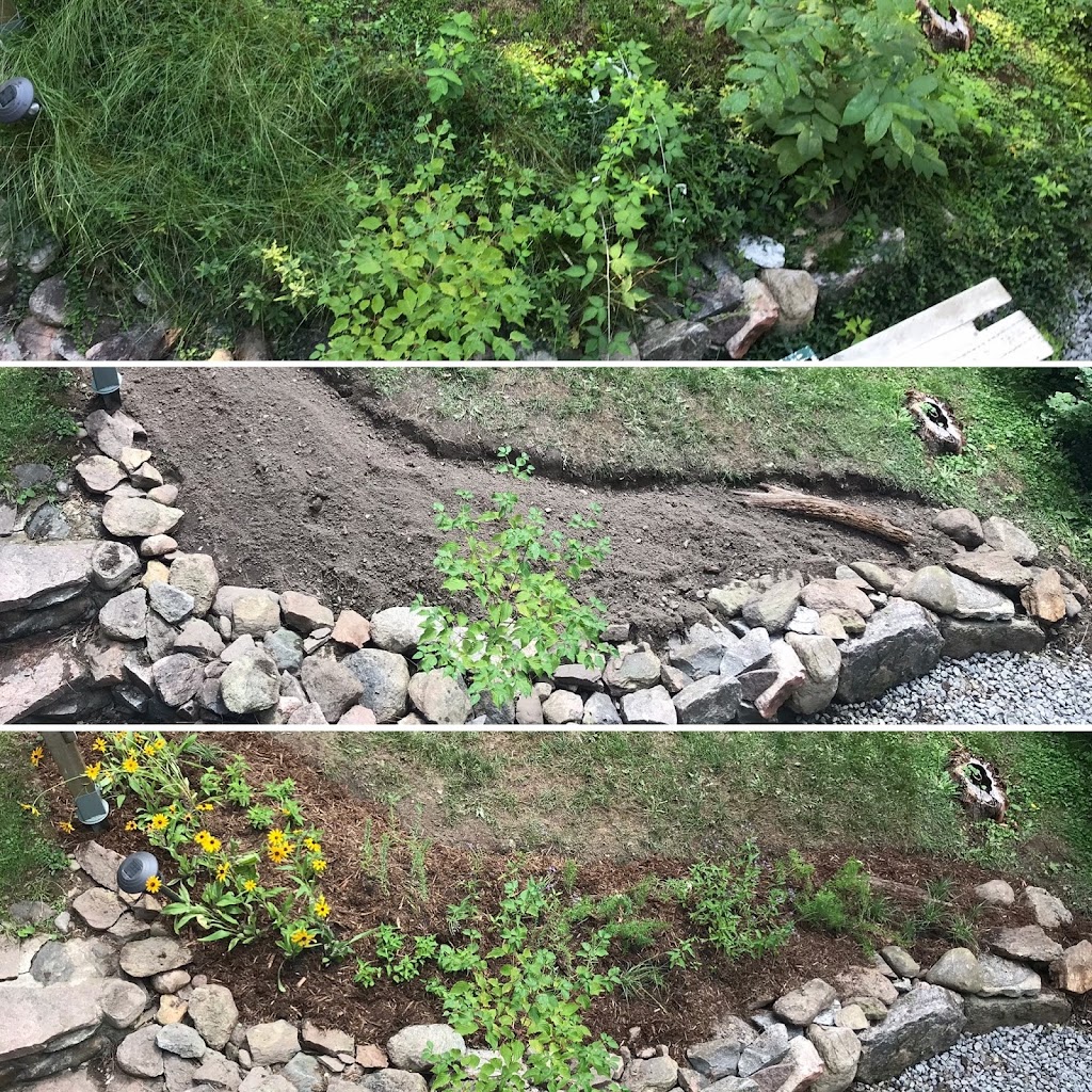 Sustainable Roots | 3250 North Rd, Whitevale, ON L0H 1M0, Canada | Phone: (416) 357-4015