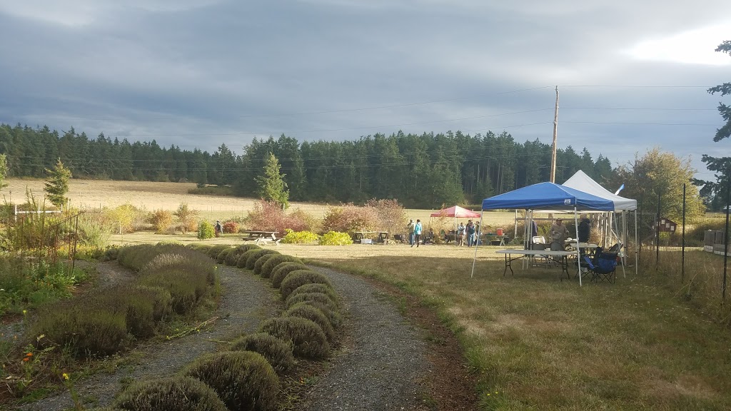Whispers of Nature Herbs | 37 Fisherman Bay Rd, Lopez Island, WA 98261, USA | Phone: (360) 468-0550