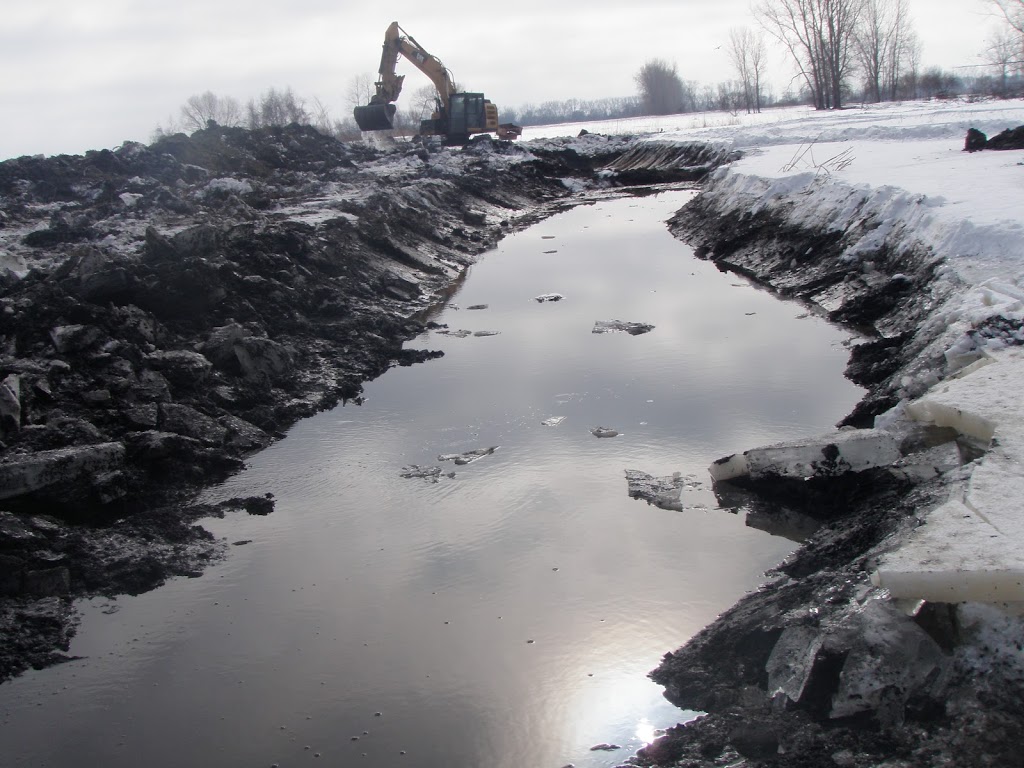 BF Environmental Consultants Ltd. | 277 West, Holt Line, Port Lambton, ON N8A 4W4, Canada | Phone: (519) 892-3254